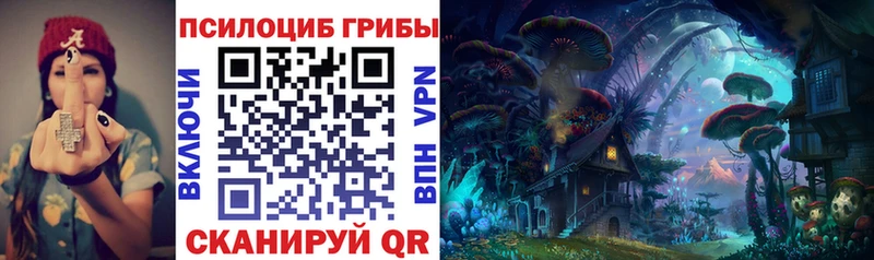 Купить  Ивдель  Псилоцибиновые грибы Magic Shrooms 